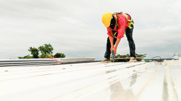 Best Metal Roofing Installation  in Potomac Heights, MD