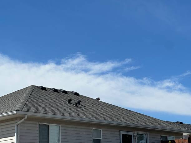 Best Hot Roofs  in Potomac Heights, MD